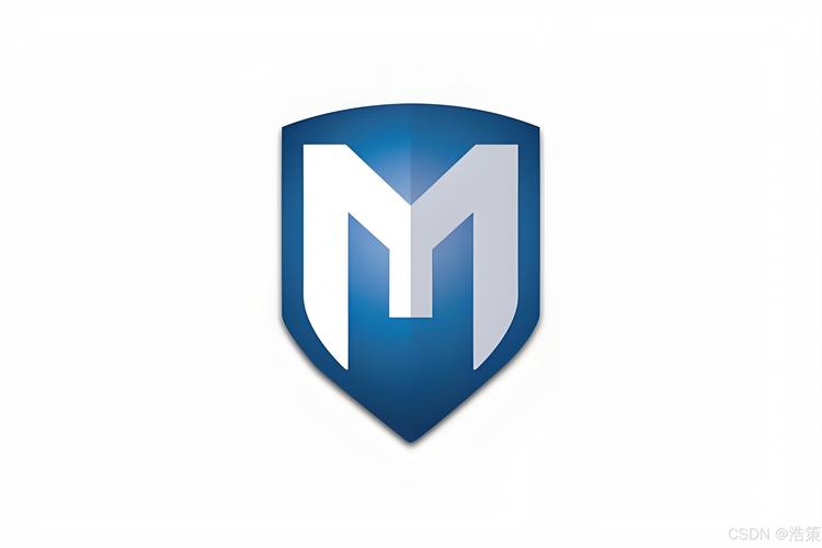 MSFIIIRE