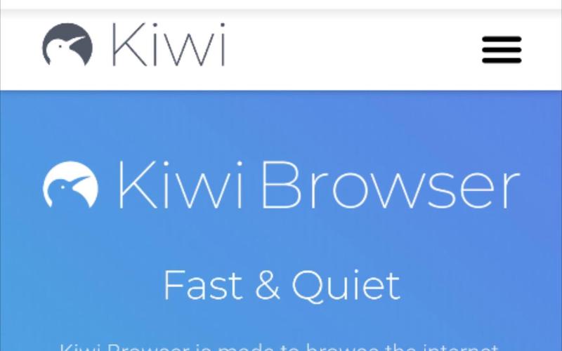 Kiwi浏览器中文最新版安装