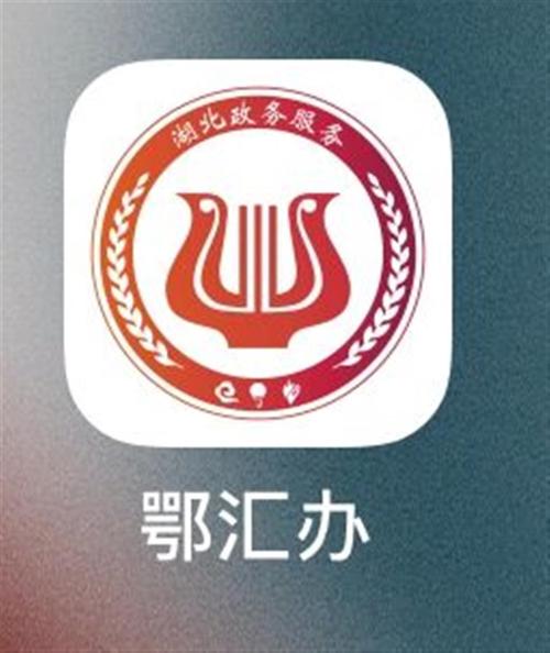 鄂汇办app