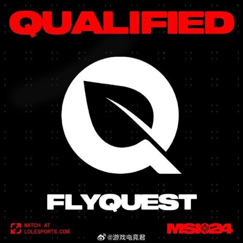 FLYMUSIC