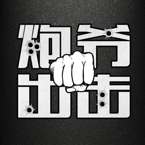 炮爷出击