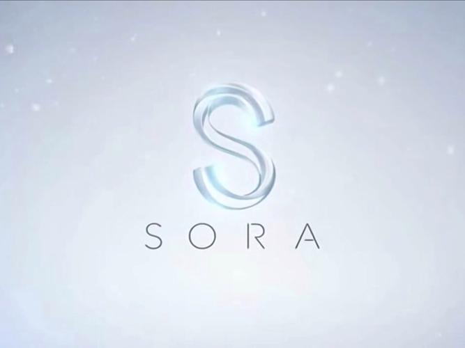 sora2手机版app
