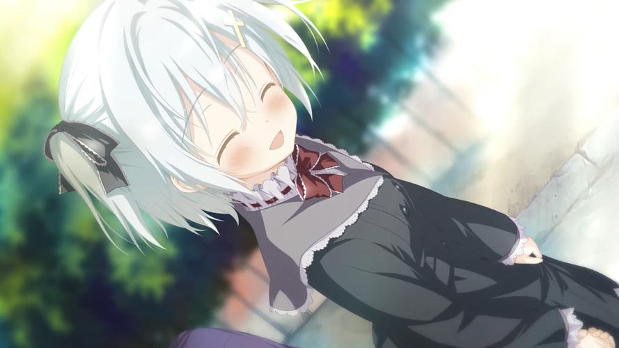 galgame《星辰恋曲的白色永恒白色星之梦》游戏介绍