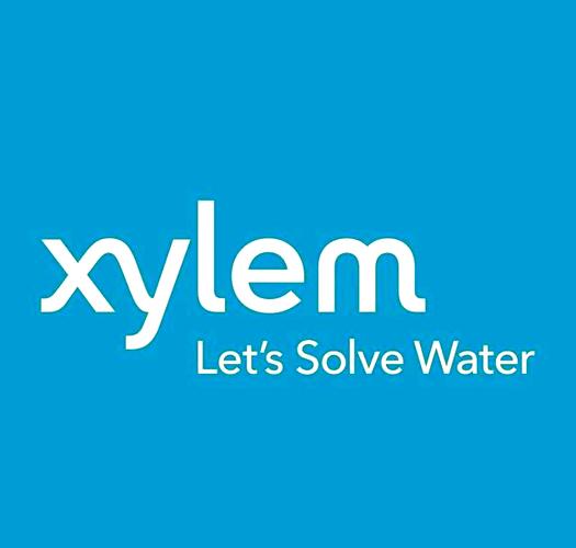 lysn2025