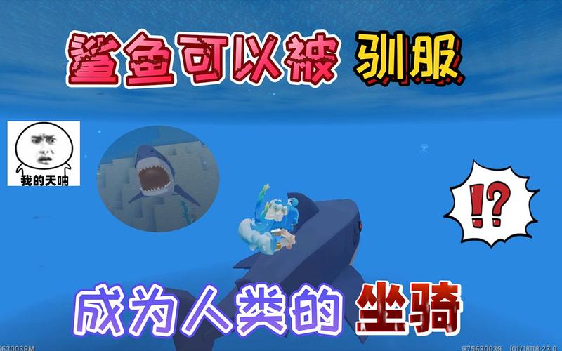 迷你世界海洋版本怎么驯服鲨鱼当坐骑