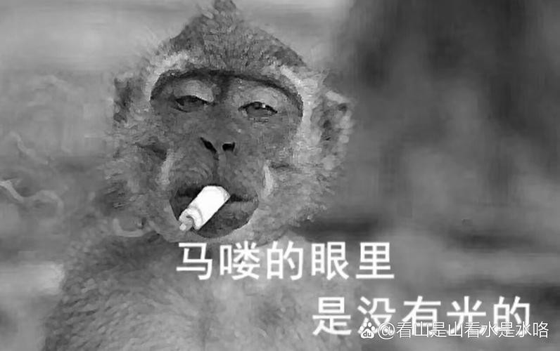 吗喽是什么意思 网络用语吗喽的意思