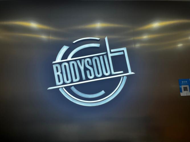 bodyvisualizer安卓版