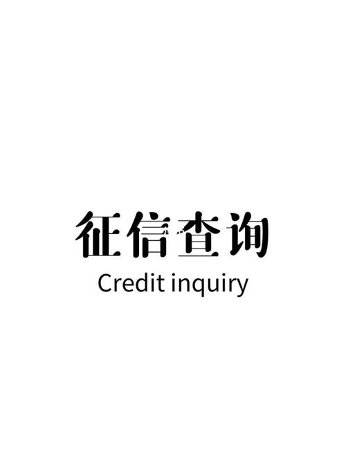 个人征信系统查询