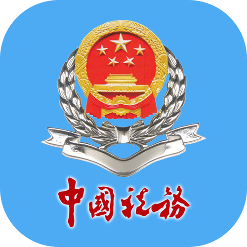 山东电子税务局app