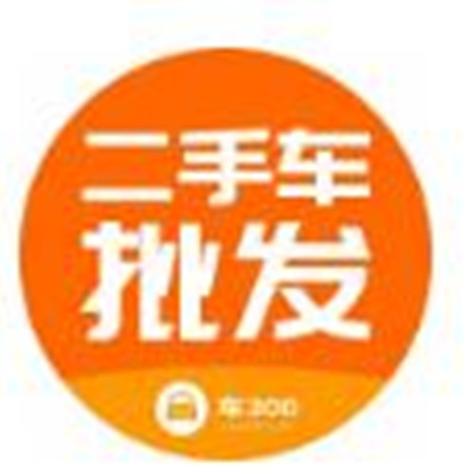 车300二手车App官方