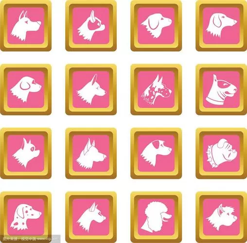 粉色的狗