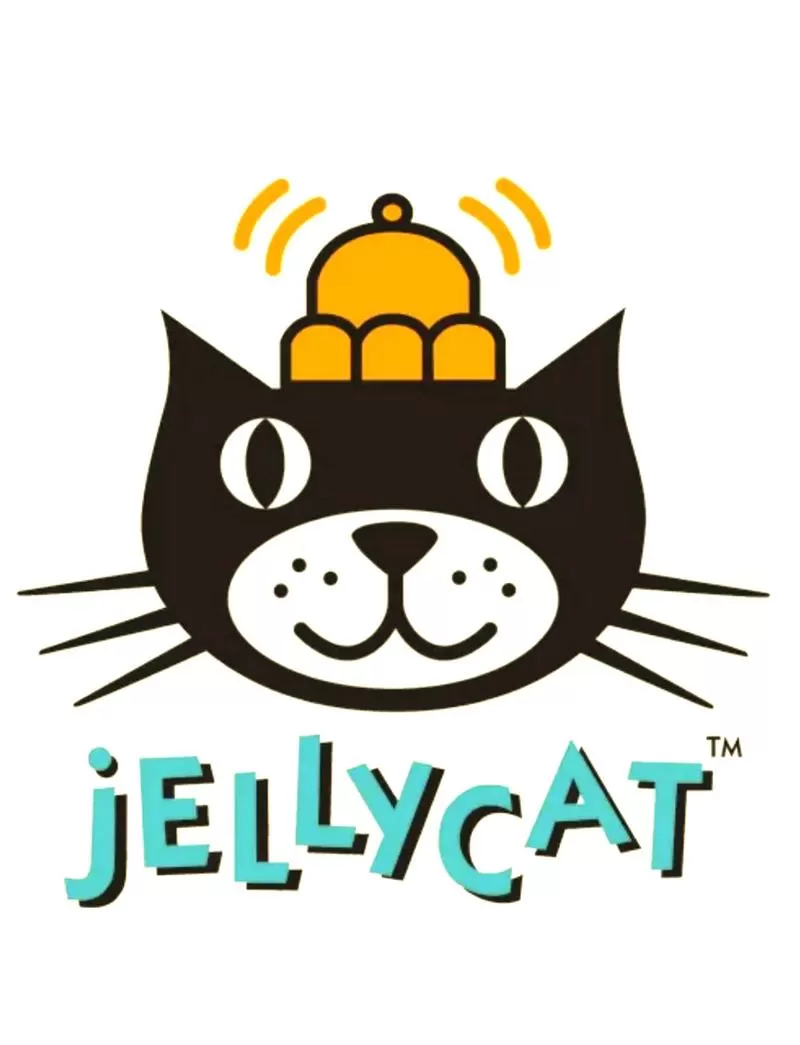 猫的玩具有哪些