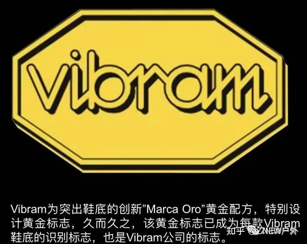 vibrant可以形容人吗