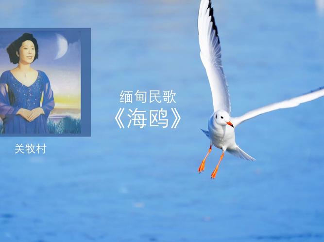 海鸥歌曲原唱完整版