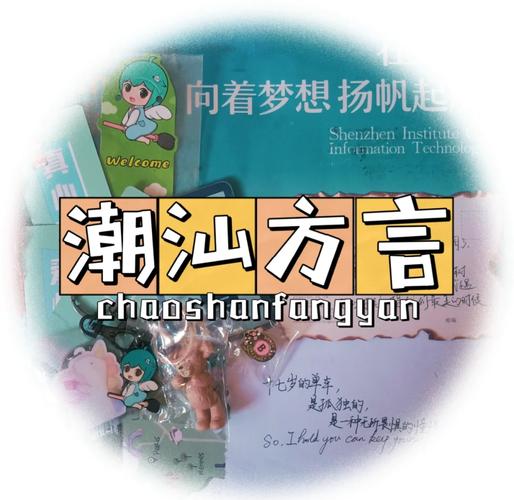 潮汕话翻译