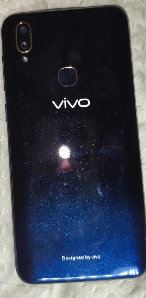 vivoz3