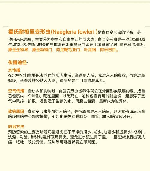 我的变形虫图文游戏攻略大全