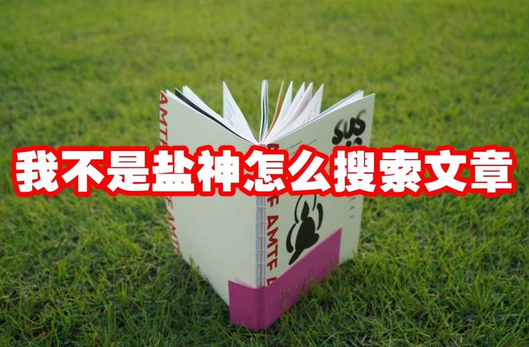 我不是盐神