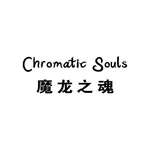 魔龙之魂