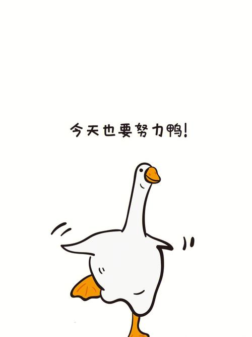 火山要努力鸭