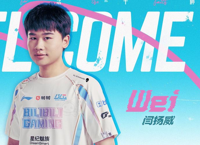 weiwei选手