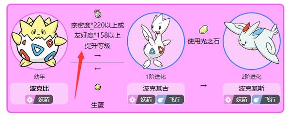波克比进化