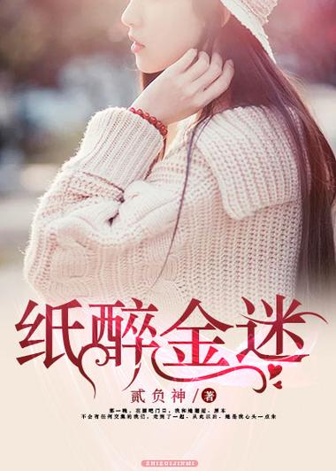 纸醉金迷小说