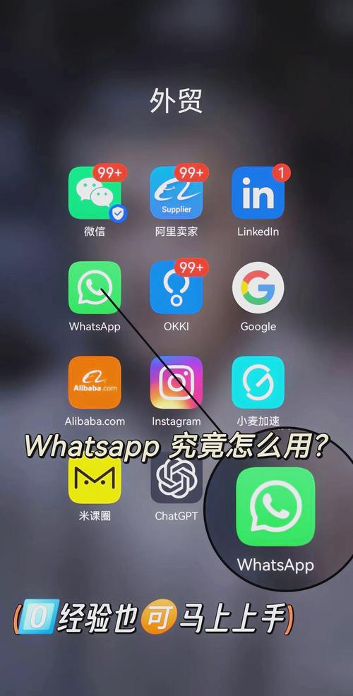 whatsapp国内中文版安装