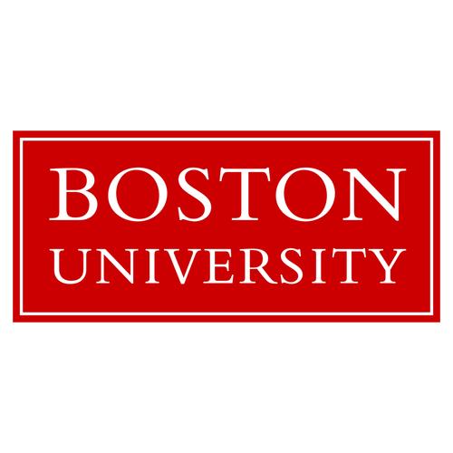 boson