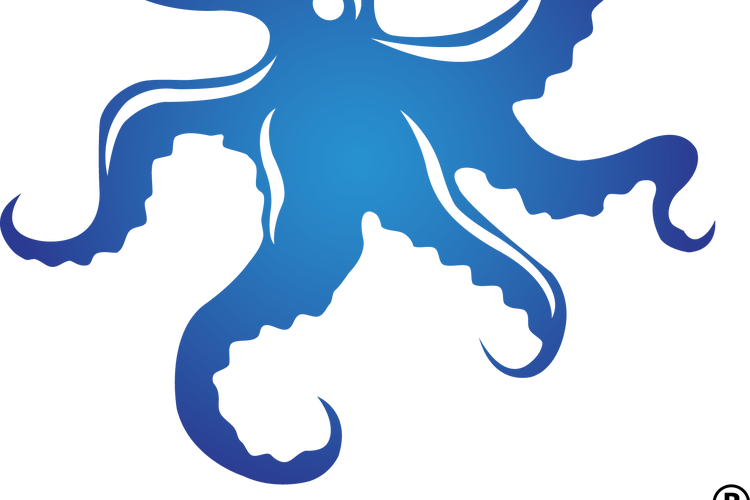 海扁虫