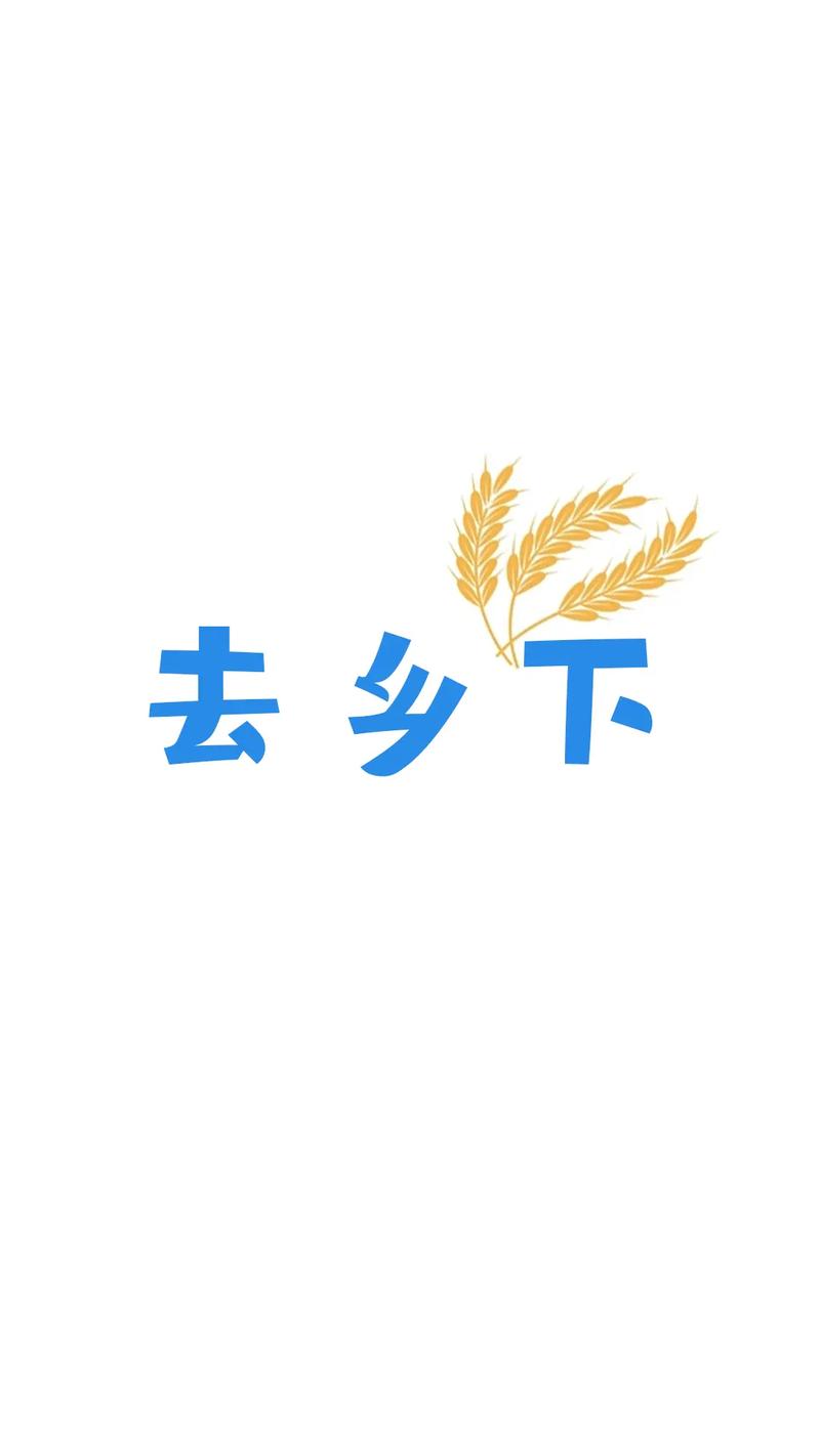 返乡记事