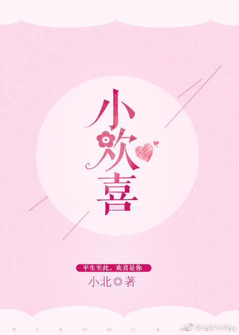 小欢喜小说