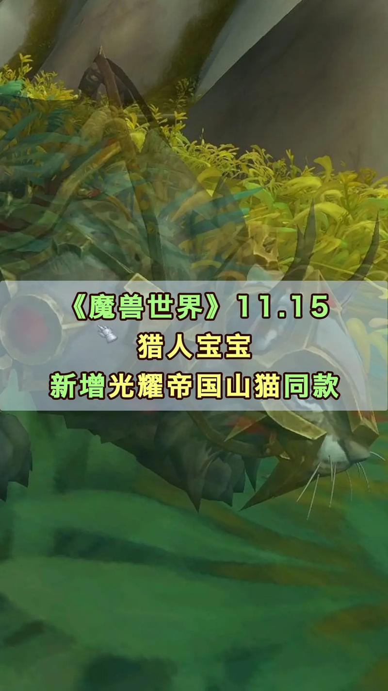 魔兽世界猎人宝宝