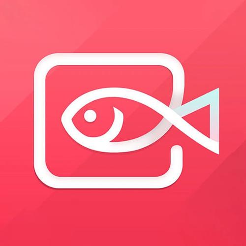 快鱼直播app