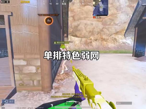和平精英弱网软件和平精英弱网科技 (QNE