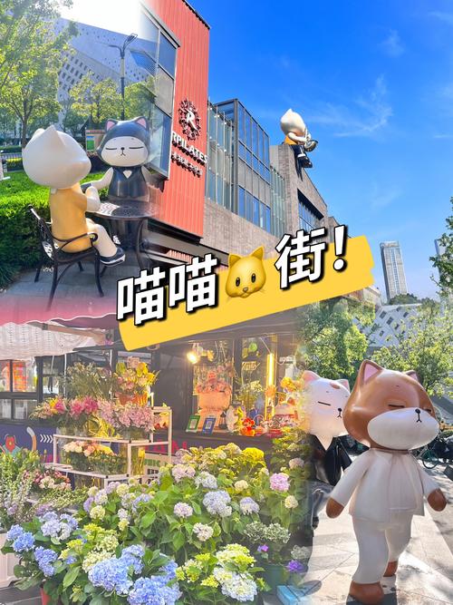 喵喵小镇