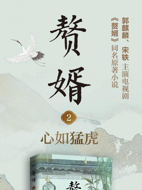 赘婿小说