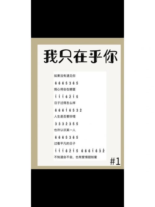 歌词改编之我只在乎你图标