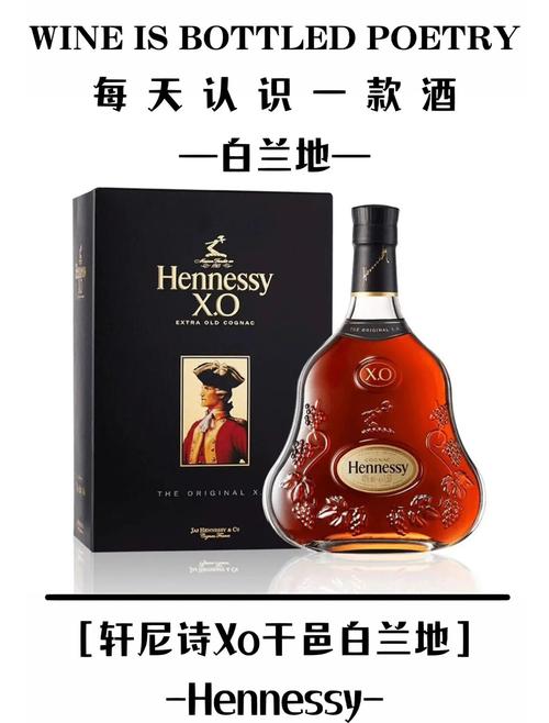 xo网站