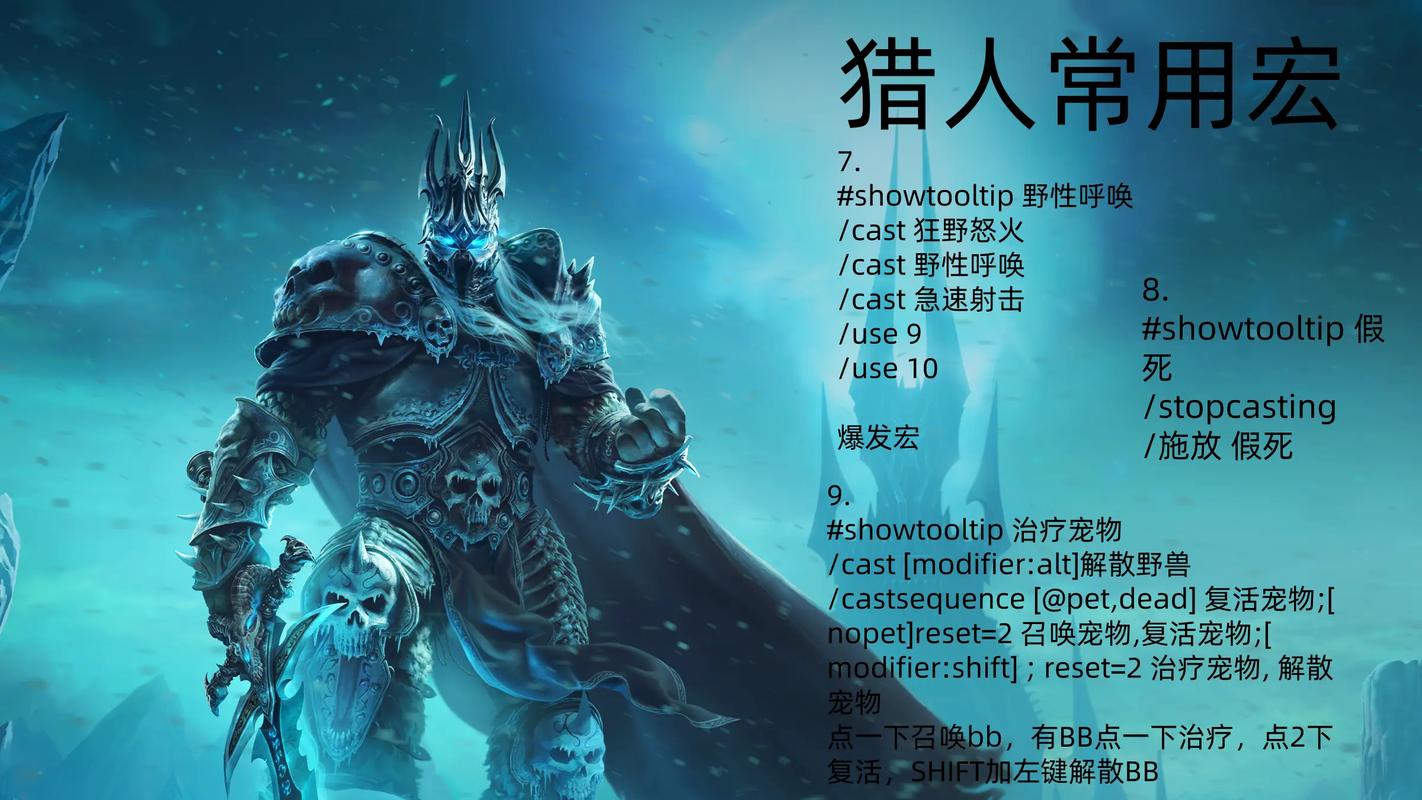 魔兽世界猎人宏缩略图