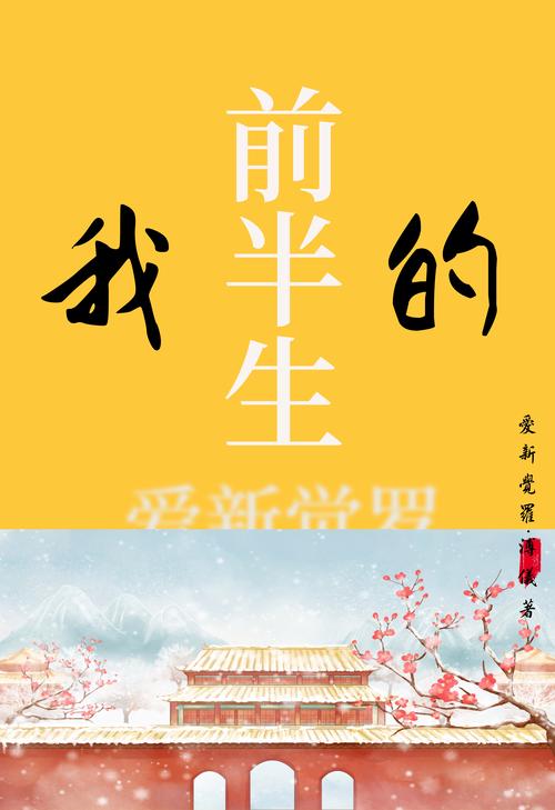 我的前半生小说