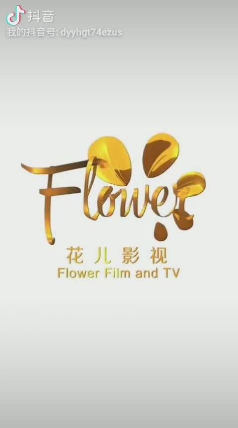 花儿影视手机版安装