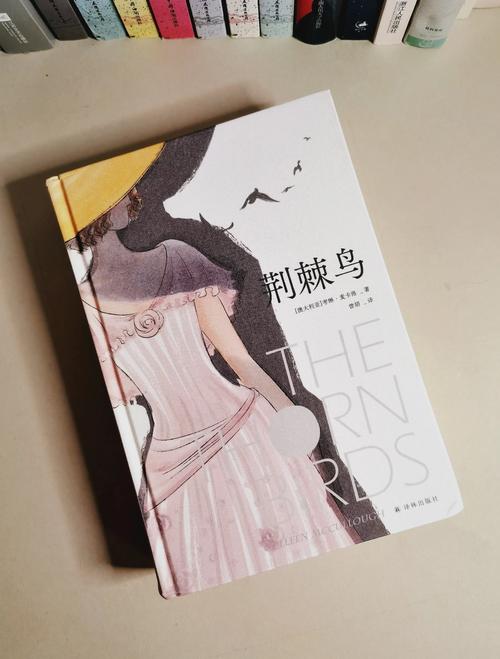 荆棘鸟小说