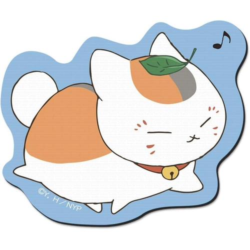猫咪老师图片