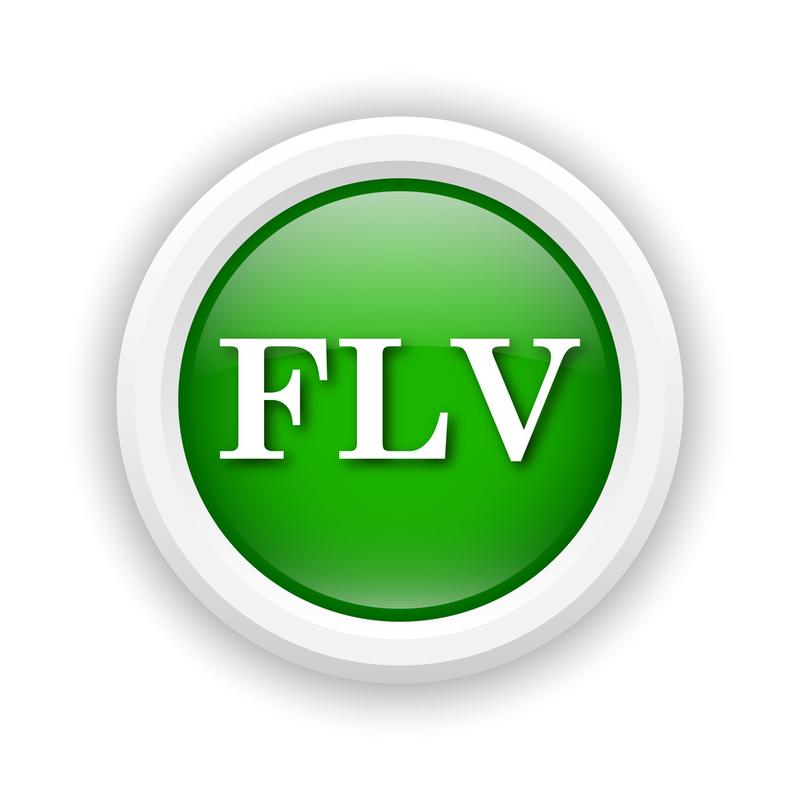 flv格式