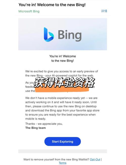 微软bing搜索国际版app