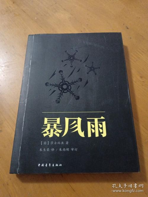 《暴风雨》小说在线阅读