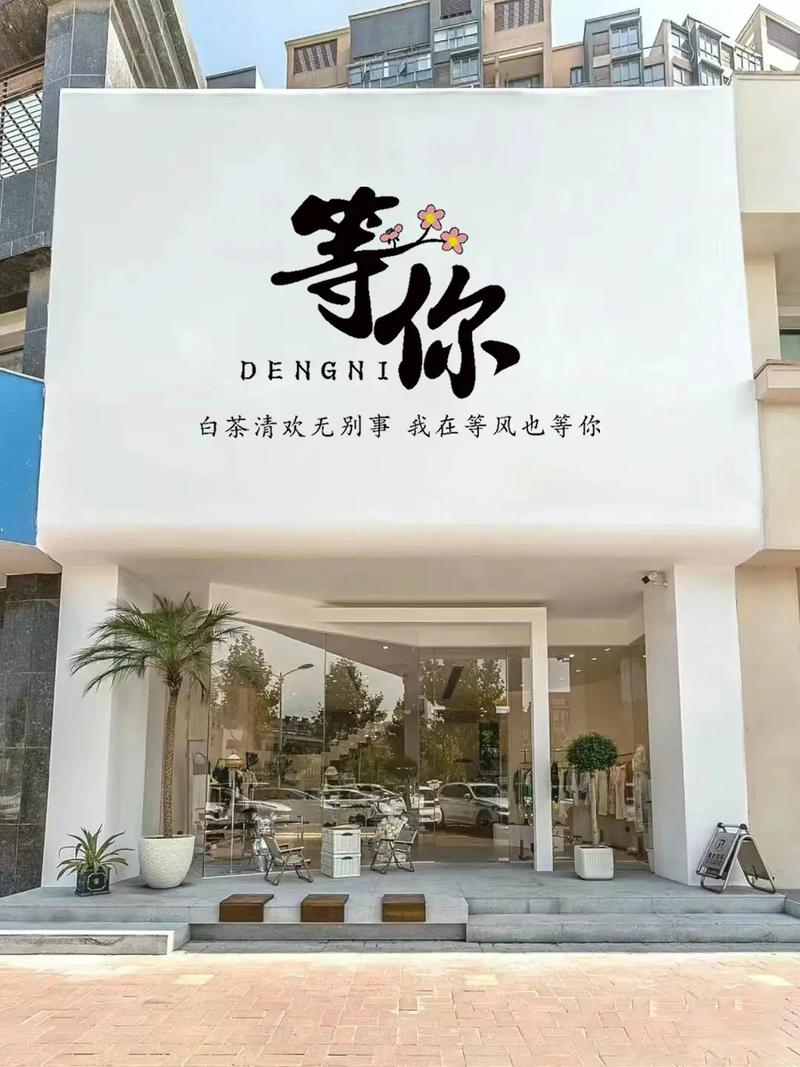 我在等风也等你