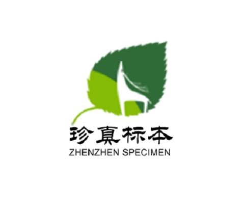 标本零