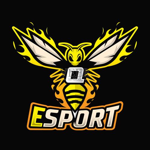 飞q